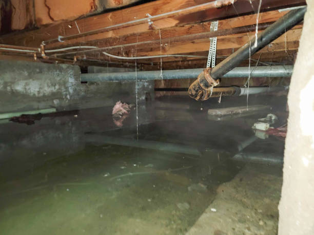 Best Water damage restoration near me  in West Chatham, MA