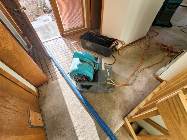 Best Water damage restoration experts  in West Chatham, MA