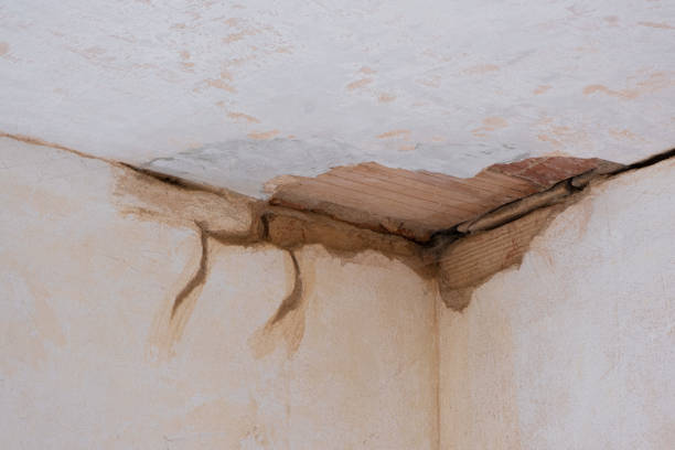 Best Water damage contractors near me  in West Chatham, MA