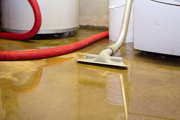 Best Flooded house restoration  in West Chatham, MA