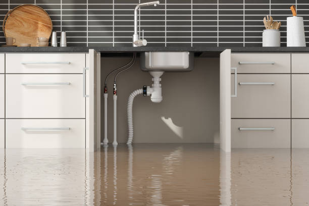 Best 24/7 water damage repair  in West Chatham, MA